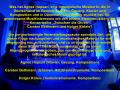 B Info
